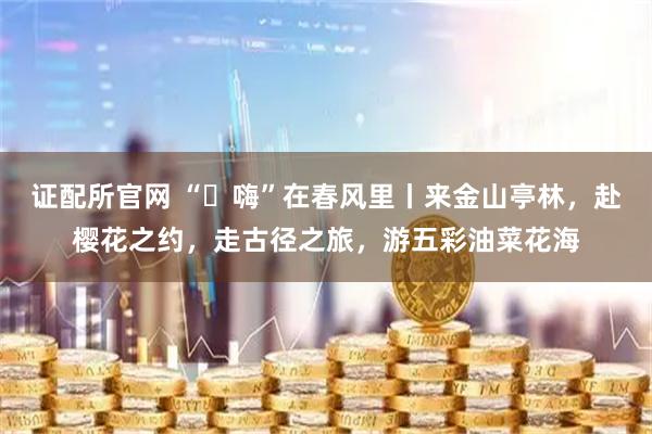 证配所官网 “​嗨”在春风里丨来金山亭林，赴樱花之约，走古径之旅，游五彩油菜花海
